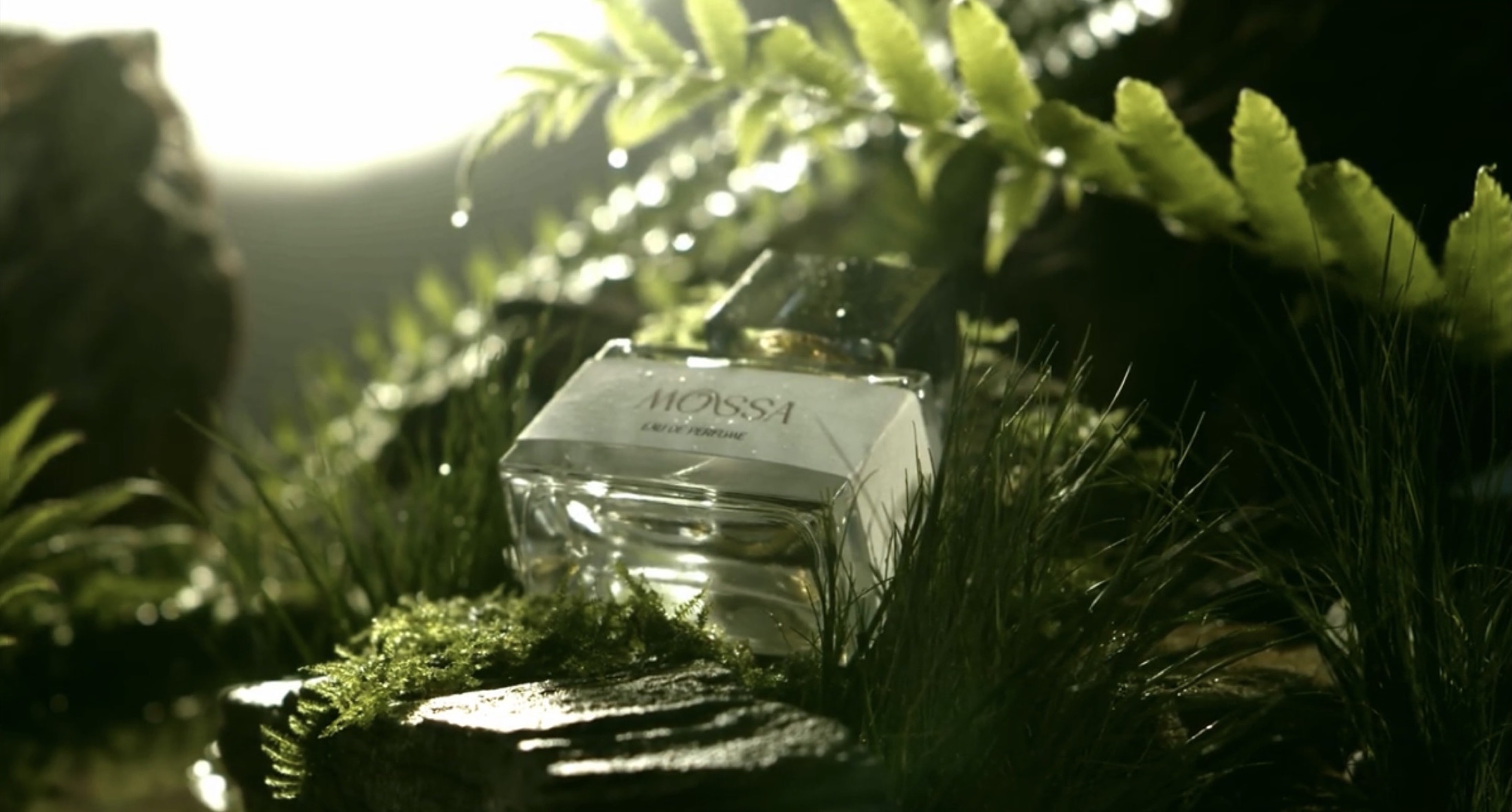 Mossa Perfume commercial